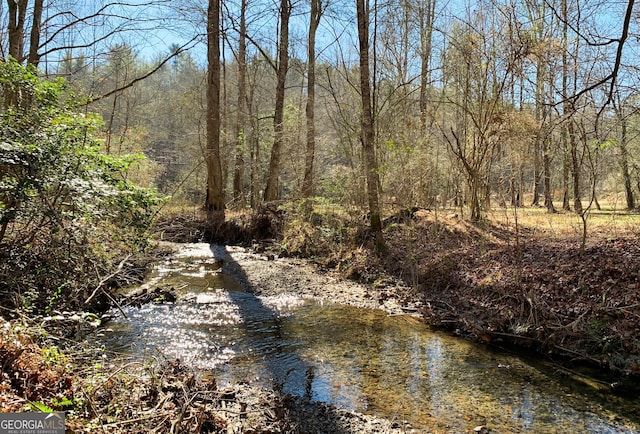3177 Rodgers Creek Rd Unit 169, Ellijay, GA 30540 - water view