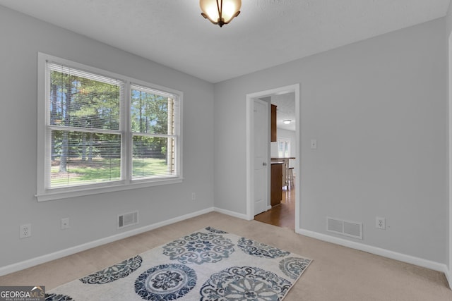 115 Rockhurst Chase, Tyrone, GA 30290 - spare room with carpet floors