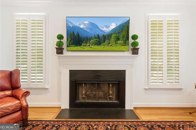 1117 Haven Glen Ln NE, Brookhaven, GA 30319 - detailed view of wood finished floors and a fireplace with flush hearth