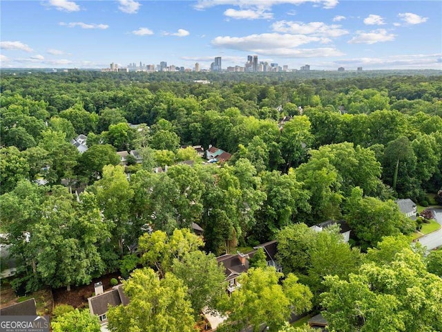 1117 Haven Glen Ln NE, Brookhaven, GA 30319 - bird's eye view of city skyline and a heavily wooded area