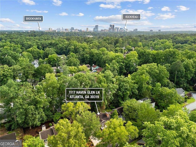 1117 Haven Glen Ln NE, Brookhaven, GA 30319 - aerial view of skyline and a forest