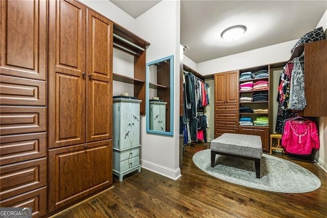 217 Fernwood Pl, Woodstock, GA 30188 - spacious closet with dark wood-type flooring