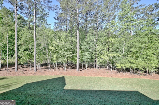 192 Greyfairs Ave, Senoia, GA 30276 - view of grassy yard
