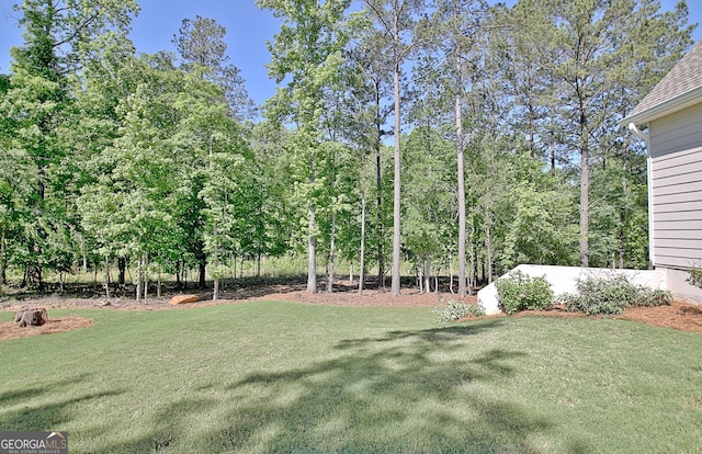 192 Greyfairs Ave, Senoia, GA 30276 - view of green lawn