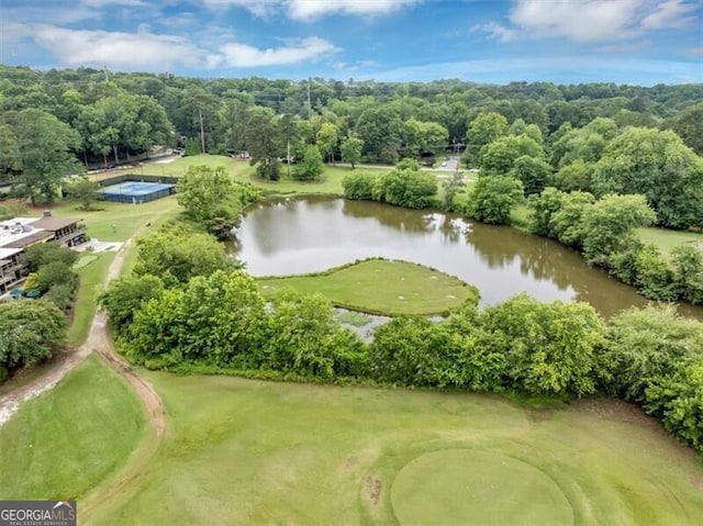 58 Monet Ct NW, Atlanta, GA 30327 - drone / aerial view of a large body of water and a golf course