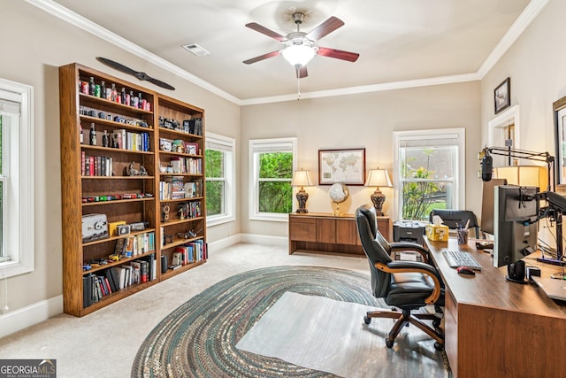 5717 Meadow View Dr, Jefferson, GA 30549 - office space featuring carpet, a ceiling fan, and ornamental molding