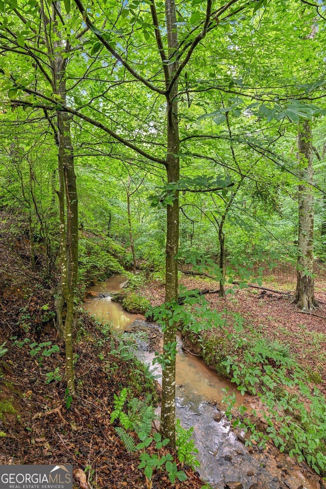 5717 Meadow View Dr, Jefferson, GA 30549 - view of wooded area
