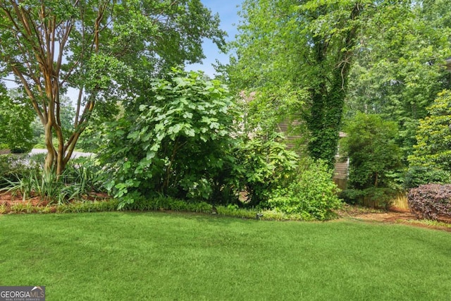 878 Treadstone Overlook, Suwanee, GA 30024 - view of green lawn