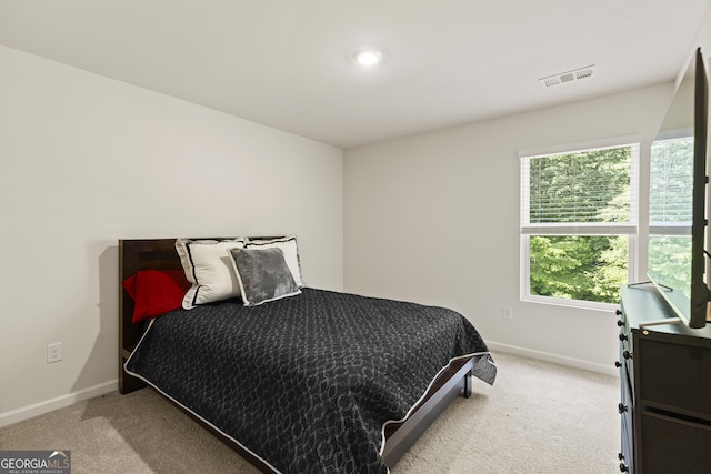 545 Quail Pass, Dawsonville, GA 30534 - bedroom featuring light colored carpet