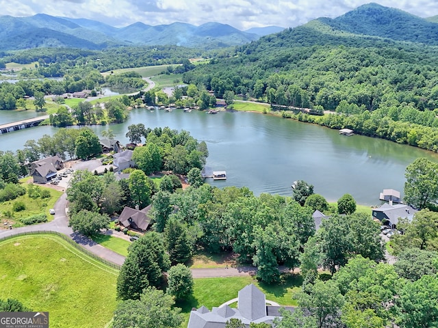 4 Stonecrest Cir, Hiawassee, GA 30546