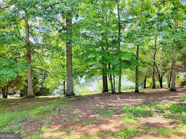 4 Stonecrest Cir, Hiawassee, GA 30546