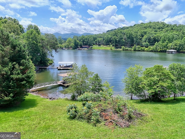 4 Stonecrest Cir, Hiawassee, GA 30546