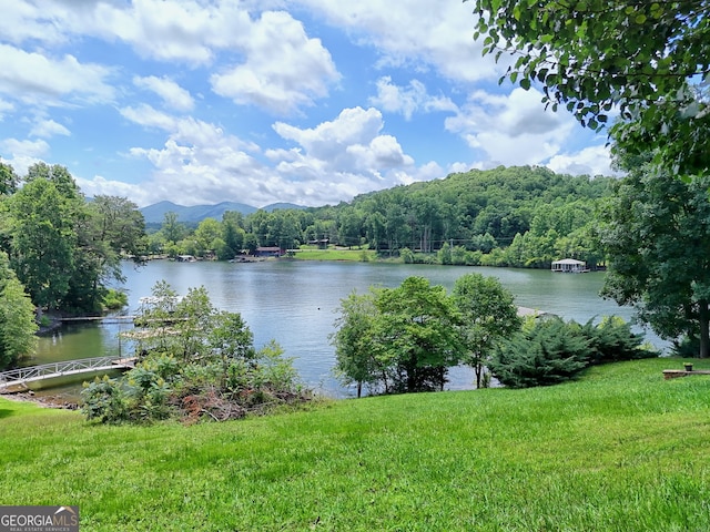 4 Stonecrest Cir, Hiawassee, GA 30546