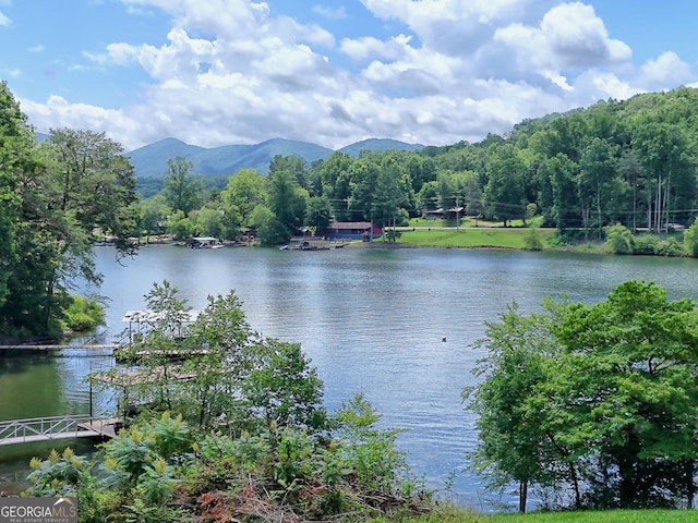 4 Stonecrest Cir, Hiawassee, GA 30546