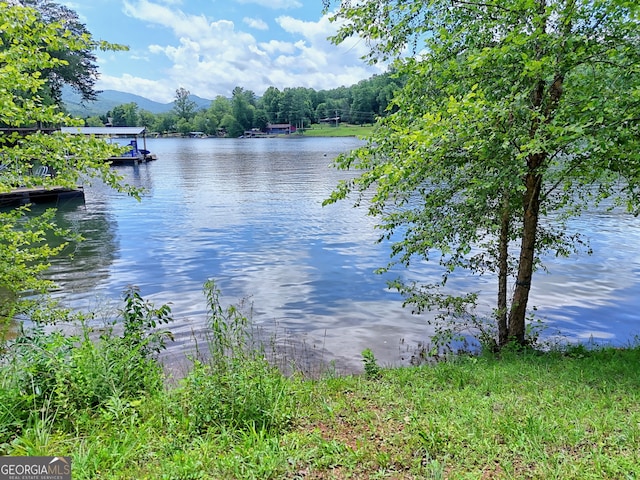 4 Stonecrest Cir, Hiawassee, GA 30546