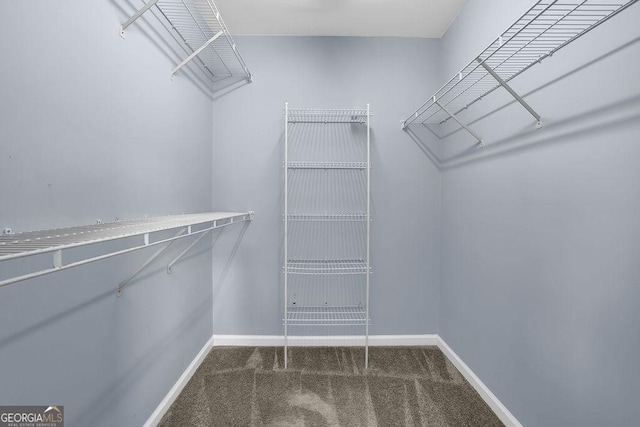 7325 Brookwood Way, Cumming, GA 30041 - spacious closet featuring carpet flooring