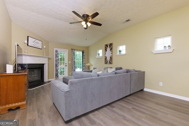 67 Granite Ct, Dallas, GA 30132 - living room with wood finished floors, ceiling fan, a glass covered fireplace, healthy amount of natural light, and lofted ceiling