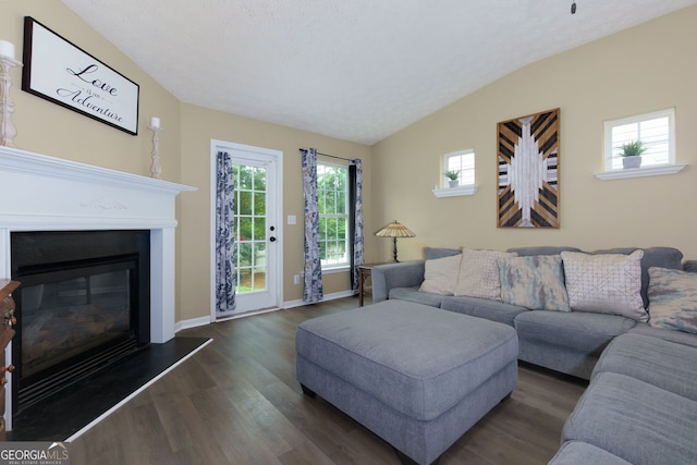 67 Granite Ct, Dallas, GA 30132 - living area with vaulted ceiling, a glass covered fireplace, and dark wood-style flooring