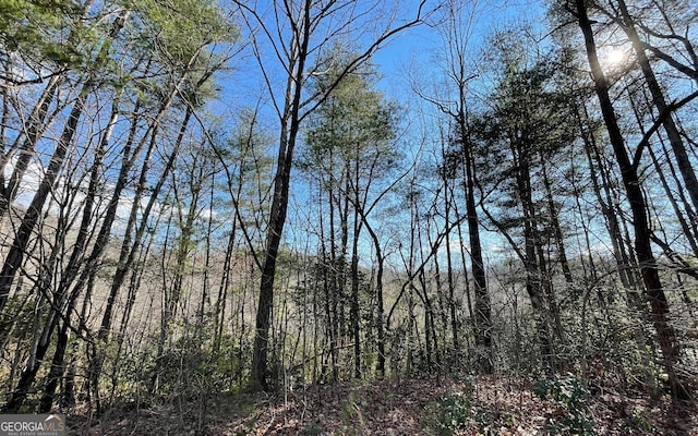 LOT42 Granite Dr, Fires Creek Cove, Hayesville, NC 28904