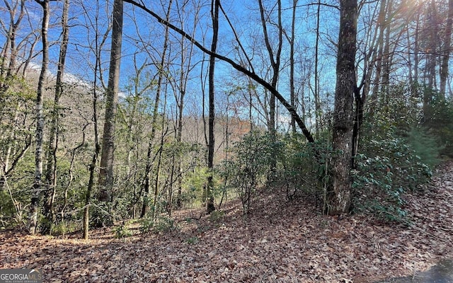 LOT42 Granite Dr, Fires Creek Cove, Hayesville, NC 28904