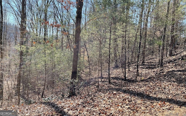 LOT42 Granite Dr, Fires Creek Cove, Hayesville, NC 28904