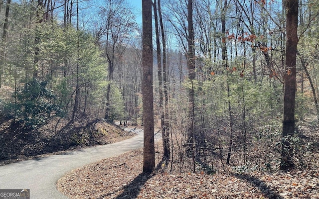 LOT42 Granite Dr, Fires Creek Cove, Hayesville, NC 28904