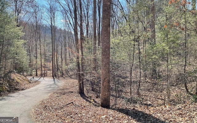 LOT42 Granite Dr, Fires Creek Cove, Hayesville, NC 28904