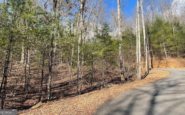 LOT42 Granite Dr, Fires Creek Cove, Hayesville, NC 28904
