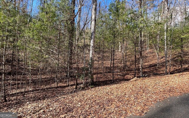 LOT42 Granite Dr, Fires Creek Cove, Hayesville, NC 28904