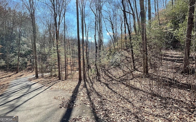 LOT42 Granite Dr, Fires Creek Cove, Hayesville, NC 28904