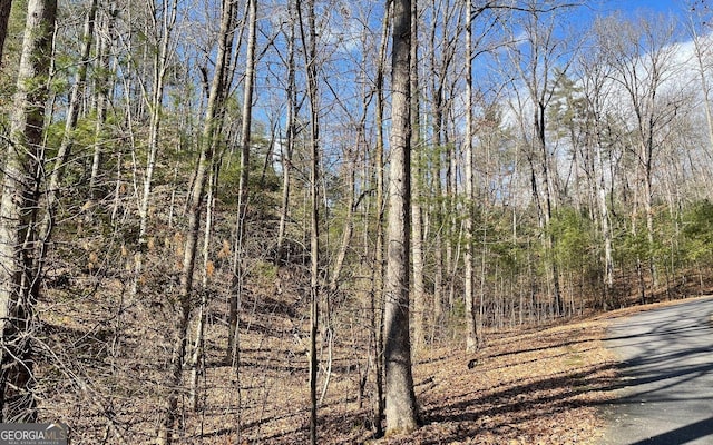 LOT42 Granite Dr, Fires Creek Cove, Hayesville, NC 28904