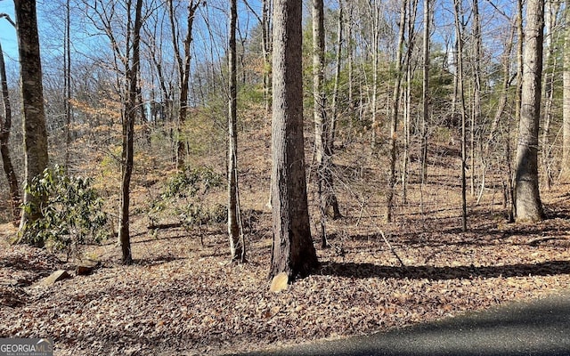 LOT42 Granite Dr, Fires Creek Cove, Hayesville, NC 28904