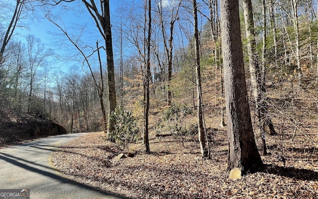 LOT42 Granite Dr, Fires Creek Cove, Hayesville, NC 28904