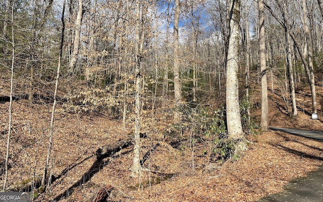 LOT42 Granite Dr, Fires Creek Cove, Hayesville, NC 28904