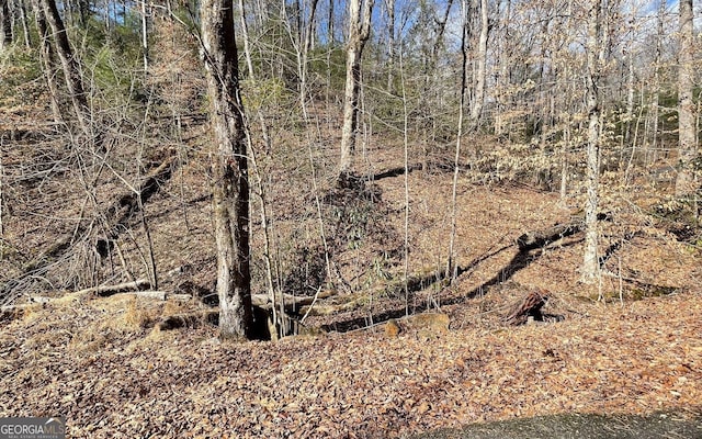 LOT42 Granite Dr, Fires Creek Cove, Hayesville, NC 28904