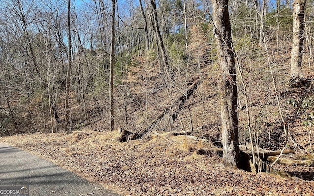 LOT42 Granite Dr, Fires Creek Cove, Hayesville, NC 28904