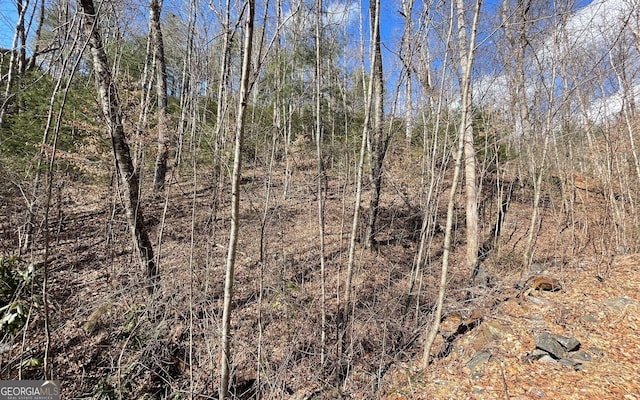 LOT42 Granite Dr, Fires Creek Cove, Hayesville, NC 28904