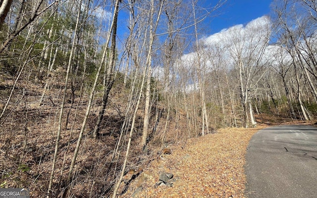 LOT42 Granite Dr, Fires Creek Cove, Hayesville, NC 28904