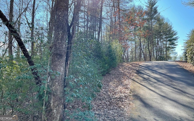 LOT42 Granite Dr, Fires Creek Cove, Hayesville, NC 28904