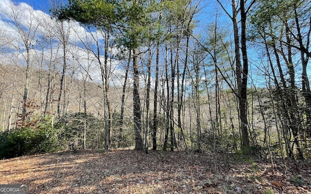 LOT42 Granite Dr, Fires Creek Cove, Hayesville, NC 28904