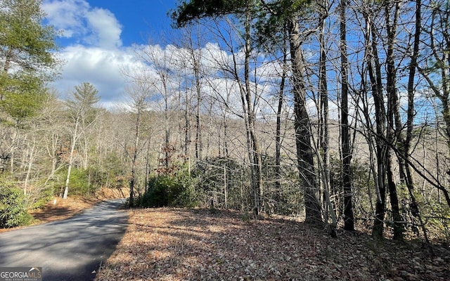 LOT42 Granite Dr, Fires Creek Cove, Hayesville, NC 28904