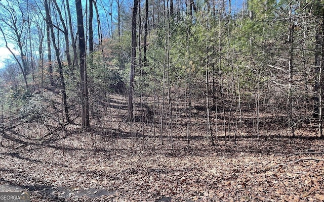 LOT42 Granite Dr, Fires Creek Cove, Hayesville, NC 28904
