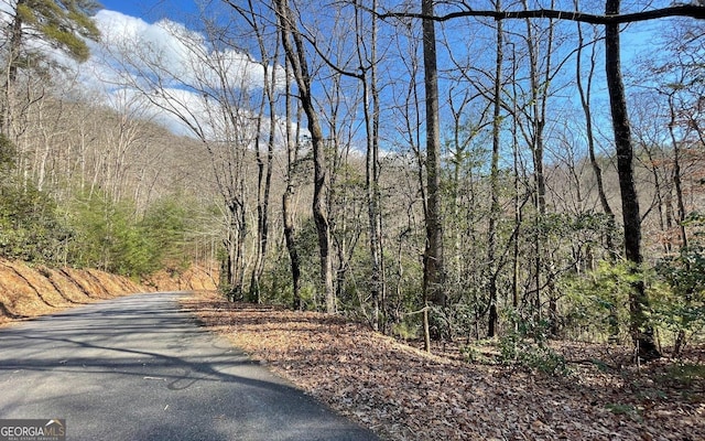 LOT42 Granite Dr, Fires Creek Cove, Hayesville, NC 28904