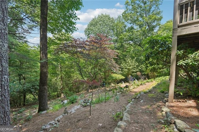 44 Sassafras Rdg, Big Canoe, GA 30143 - view of yard
