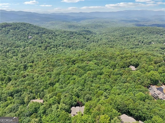 44 Sassafras Rdg, Big Canoe, GA 30143 - bird's eye view of mountains
