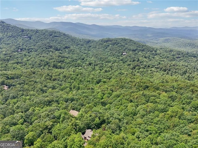 44 Sassafras Rdg, Big Canoe, GA 30143 - bird's eye view of a forest and a mountainous background