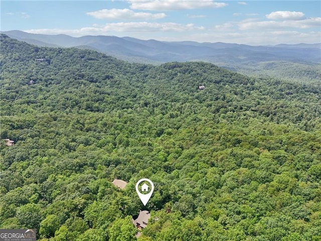 44 Sassafras Rdg, Big Canoe, GA 30143 - drone / aerial view of a heavily wooded area and a mountainous background
