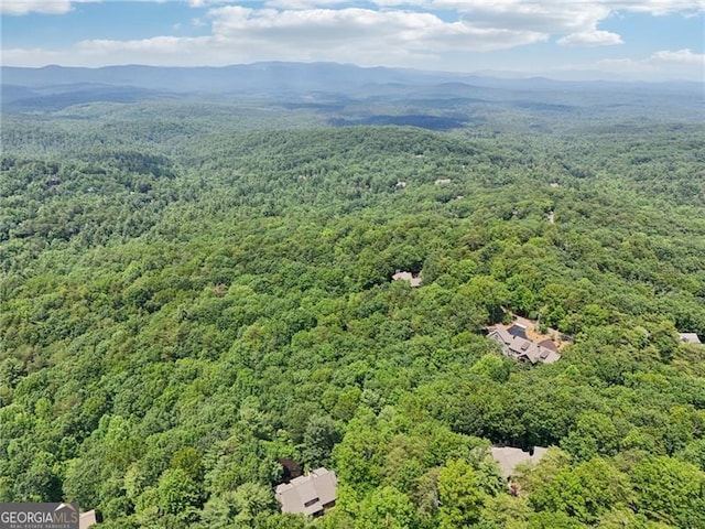 44 Sassafras Rdg, Big Canoe, GA 30143 - bird's eye view of a forest and a mountain backdrop