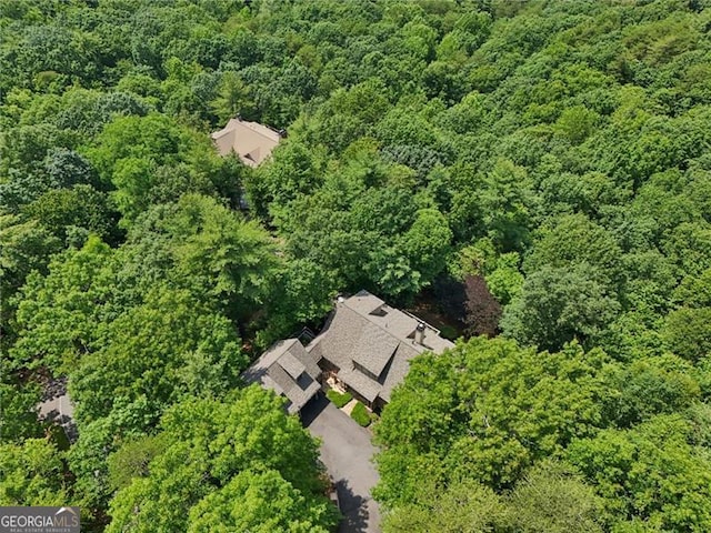 44 Sassafras Rdg, Big Canoe, GA 30143 - bird's eye view of a heavily wooded area