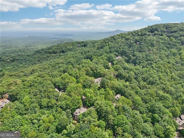 44 Sassafras Rdg, Big Canoe, GA 30143 - aerial view of a heavily wooded area